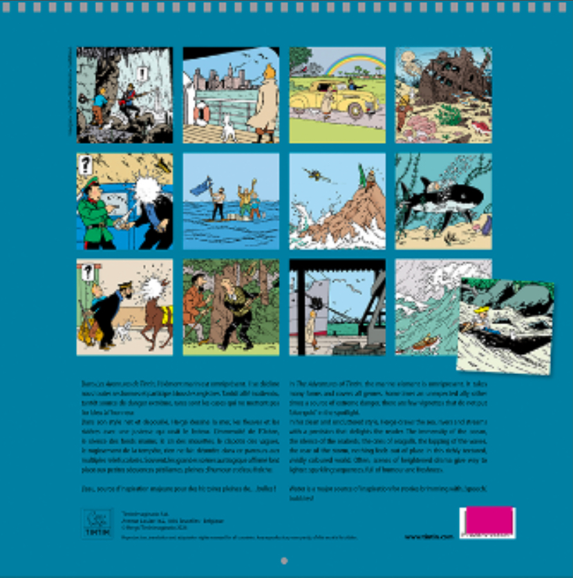 Calendario pared ,Tintin 2027 - Imagen 2